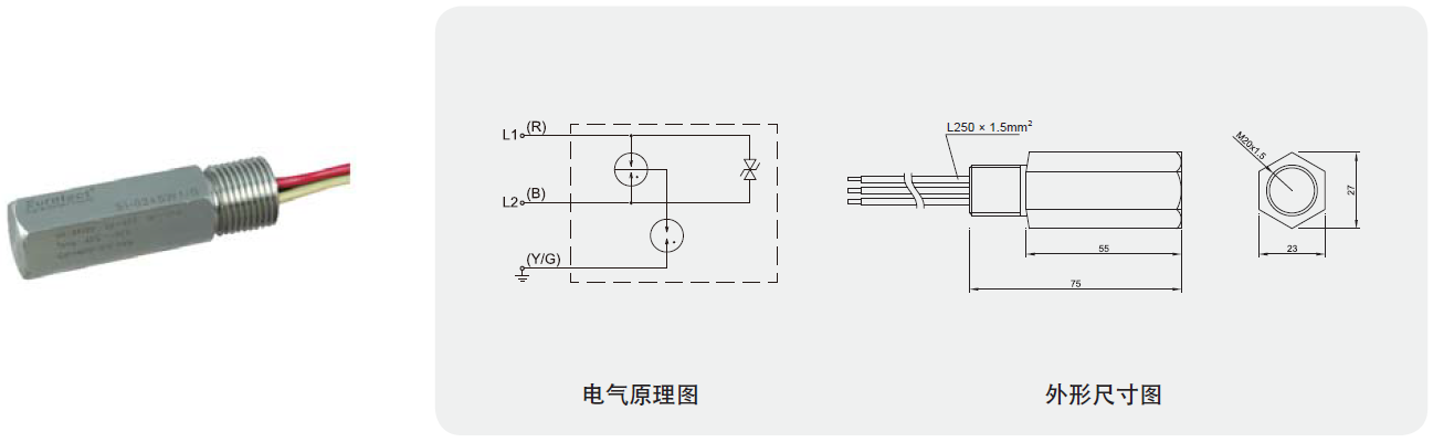 SI-024SW1-M-Ex