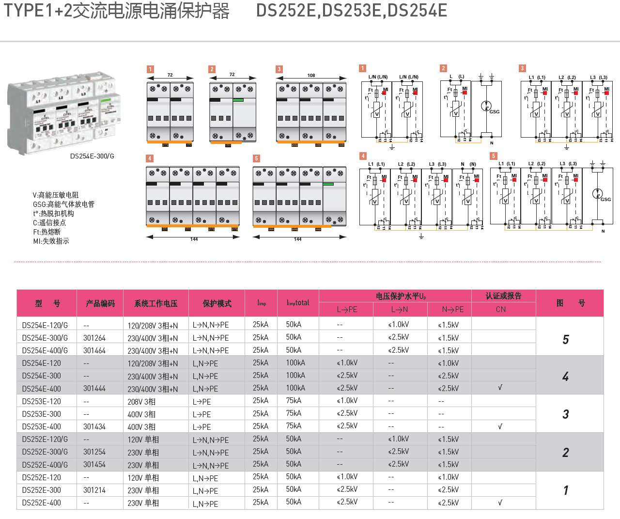 DS252E-300/G