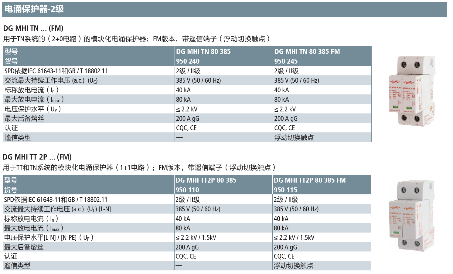 DG MHI TT 2P 80 385 FM：DEHN高效能单相电涌保护